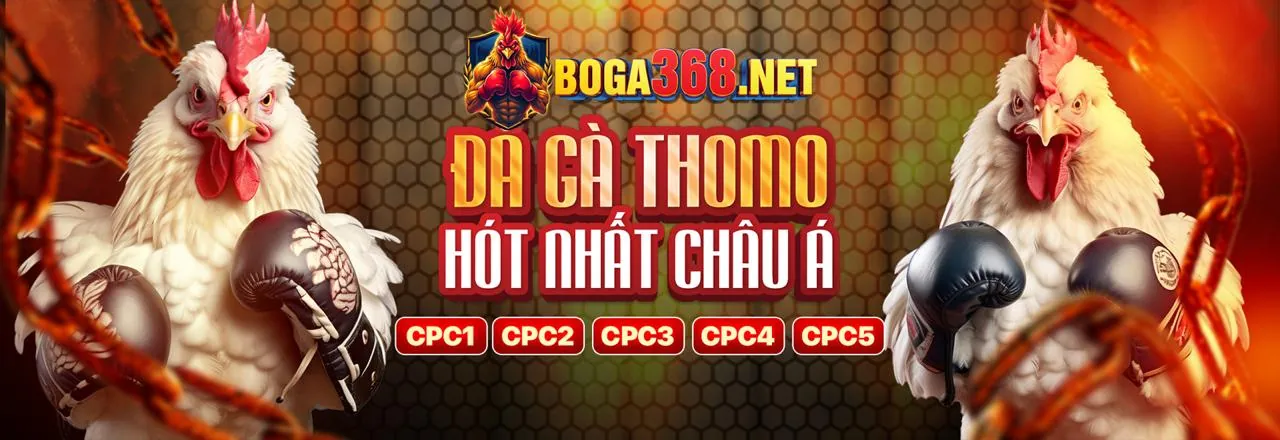 Ưu Đãi Đặc Biệt 333vin Login 2026